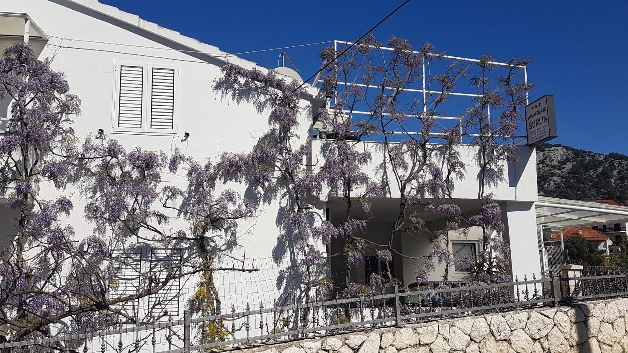 Apartmani Surlin Hvar Town Eksteriør bilde